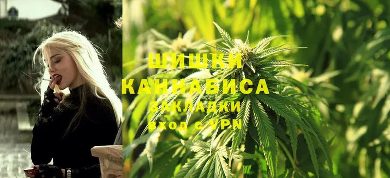 купить наркотики сайты  даркнет состав  Канабис White Widow  Бежецк 